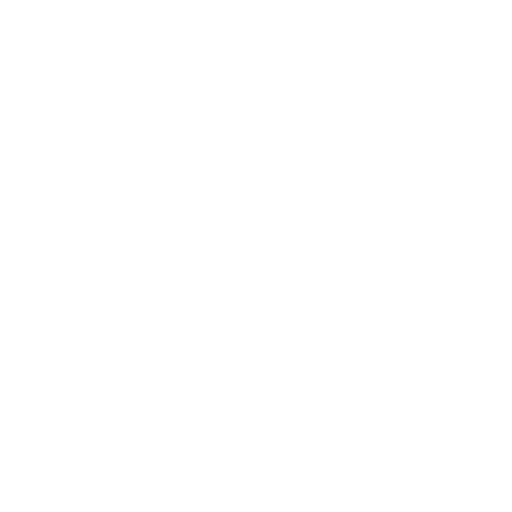 Correction Handling icon